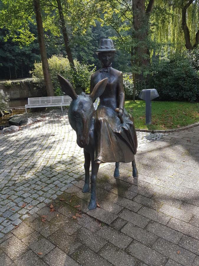 Appartamento Bergbluete Bad Harzburg Esterno foto